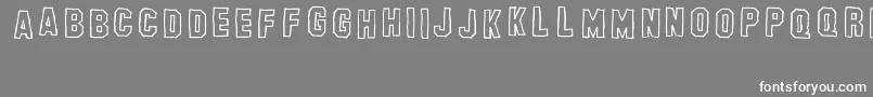 BanhartHollowErc2008 Font – White Fonts on Gray Background