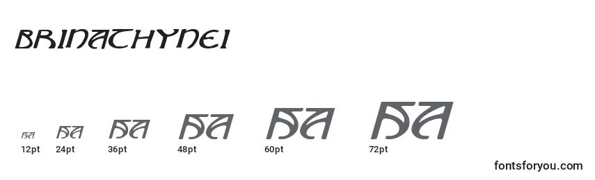 Brinathynei Font Sizes