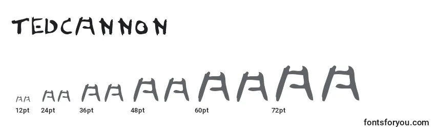 TedCannon Font Sizes