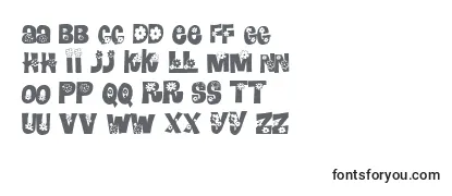 Review of the RomashulkaNormal Font