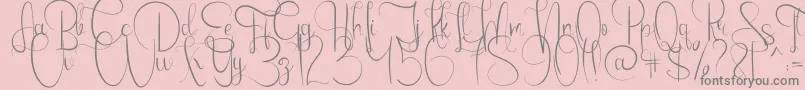 Emanuela Font – Gray Fonts on Pink Background