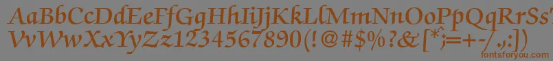 ZabriskiescriptDemiRegular Font – Brown Fonts on Gray Background