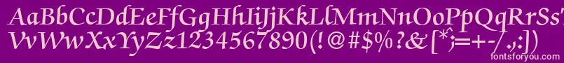 Czcionka ZabriskiescriptDemiRegular – różowe czcionki na fioletowym tle