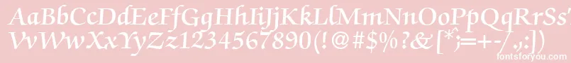 ZabriskiescriptDemiRegular Font – White Fonts on Pink Background