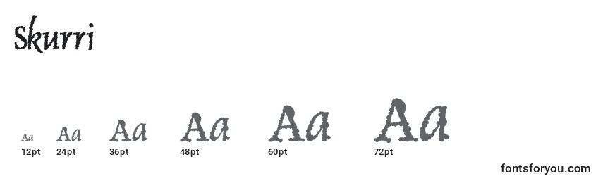 Размеры шрифта Skurri