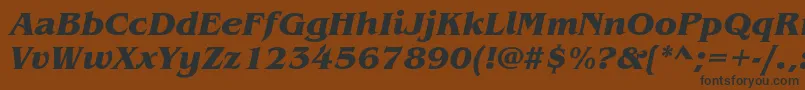 Шрифт BenguiatstdBolditalic – чёрные шрифты на коричневом фоне