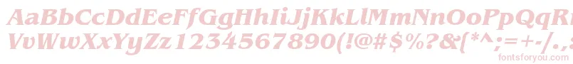 BenguiatstdBolditalic Font – Pink Fonts on White Background