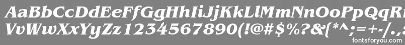 BenguiatstdBolditalic Font – White Fonts on Gray Background