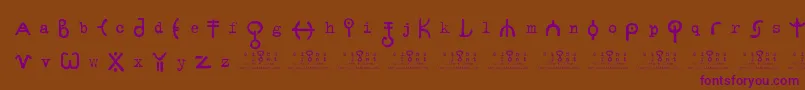 SignsZeichen2.0 Font – Purple Fonts on Brown Background