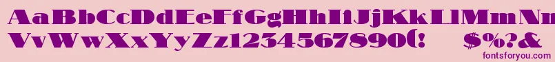 NubianRegular Font – Purple Fonts on Pink Background