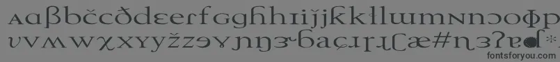 フォントTechphoneticEx – 黒い文字の灰色の背景