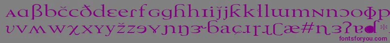 TechphoneticEx Font – Purple Fonts on Gray Background