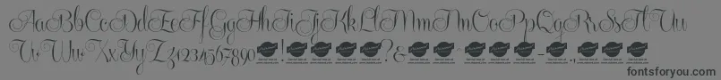 Centeriascriptdemo Font – Black Fonts on Gray Background