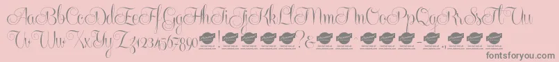 Centeriascriptdemo Font – Gray Fonts on Pink Background