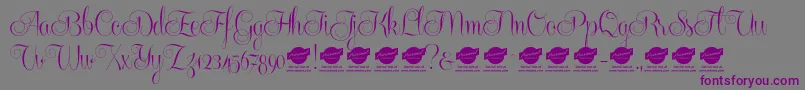 Centeriascriptdemo Font – Purple Fonts on Gray Background