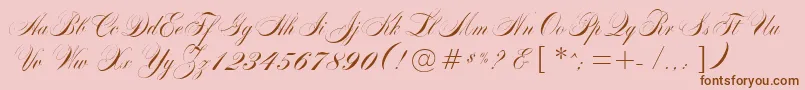 MarkizDeSadScript Font – Brown Fonts on Pink Background