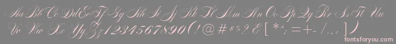 MarkizDeSadScript Font – Pink Fonts on Gray Background