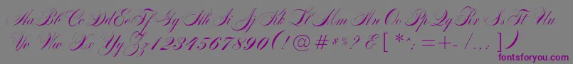 MarkizDeSadScript Font – Purple Fonts on Gray Background