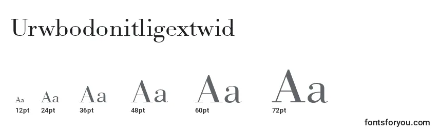 Размеры шрифта Urwbodonitligextwid