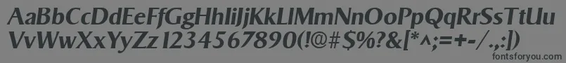 フォントSigvarBoldItalic – 黒い文字の灰色の背景