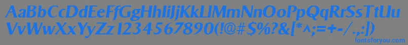 フォントSigvarBoldItalic – 灰色の背景に青い文字