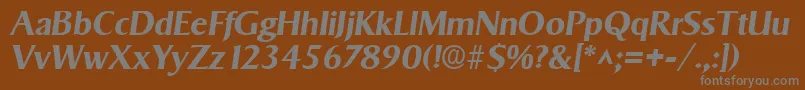 Шрифт SigvarBoldItalic – серые шрифты на коричневом фоне
