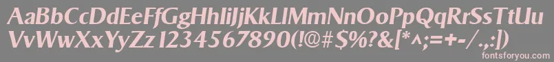 フォントSigvarBoldItalic – 灰色の背景にピンクのフォント