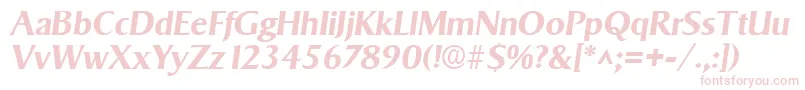 Шрифт SigvarBoldItalic – розовые шрифты на белом фоне