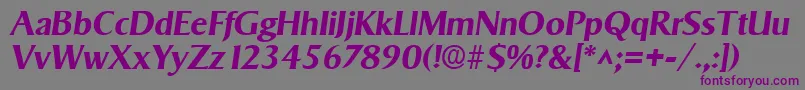 フォントSigvarBoldItalic – 紫色のフォント、灰色の背景