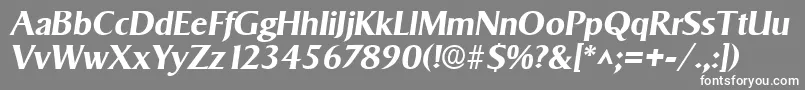 フォントSigvarBoldItalic – 灰色の背景に白い文字