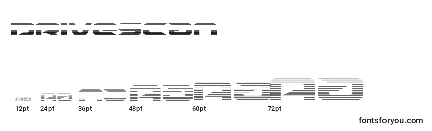 Размеры шрифта Drivescan
