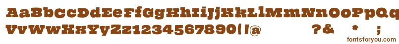 Thehammerslabserif Font – Brown Fonts