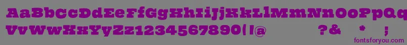 Thehammerslabserif Font – Purple Fonts on Gray Background