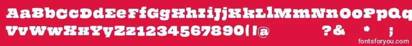 Thehammerslabserif Font – White Fonts on Red Background