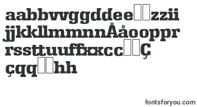 EnschedeserialHeavyRegular font – uzbek Fonts
