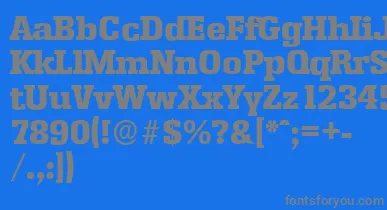EnschedeserialHeavyRegular font – Gray Fonts On Blue Background