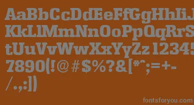 EnschedeserialHeavyRegular font – Gray Fonts On Brown Background