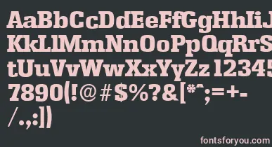 EnschedeserialHeavyRegular font – Pink Fonts On Black Background