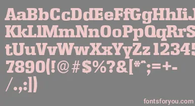 EnschedeserialHeavyRegular font – Pink Fonts On Gray Background