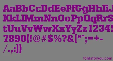 EnschedeserialHeavyRegular font – Purple Fonts On Gray Background