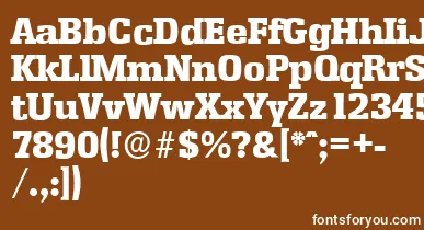 EnschedeserialHeavyRegular font – White Fonts On Brown Background