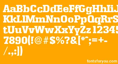 EnschedeserialHeavyRegular font – White Fonts On Orange Background
