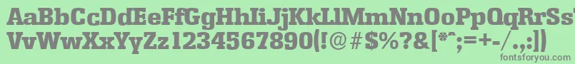 EnschedeserialHeavyRegular Font – Gray Fonts on Green Background