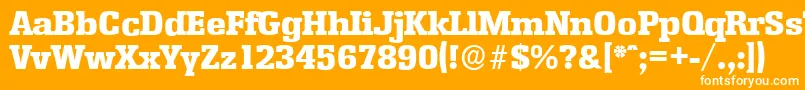 EnschedeserialHeavyRegular Font – White Fonts on Orange Background