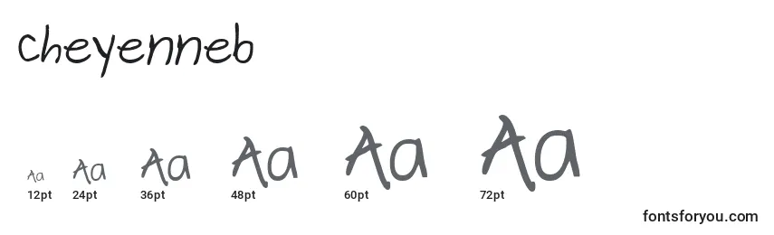 Cheyenneb Font Sizes
