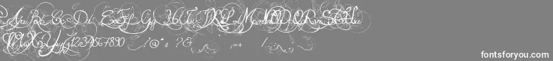 EternalCall-Schriftart – Weiße Schriften auf grauem Hintergrund