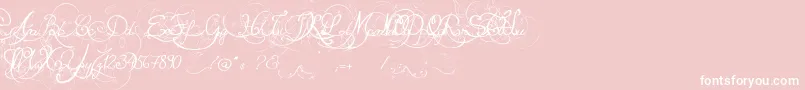 EternalCall-Schriftart – Weiße Schriften auf rosa Hintergrund