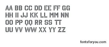 Review of the OctinstencilrgBold Font