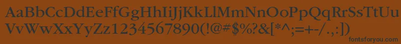 ItcgaramondstdBk Font – Black Fonts on Brown Background