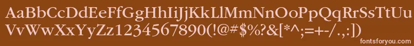 ItcgaramondstdBk Font – Pink Fonts on Brown Background